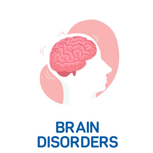 Brain