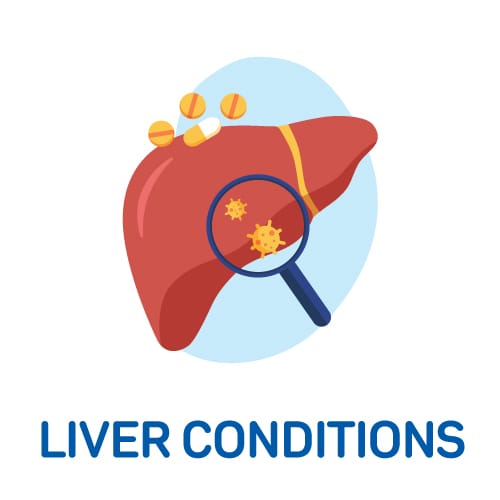 Liver